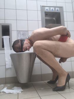 f*gwalt – public toilet again