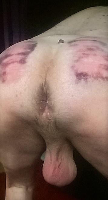 Tony Hellemans belgianslave – Belgian slave Tony Hellemans