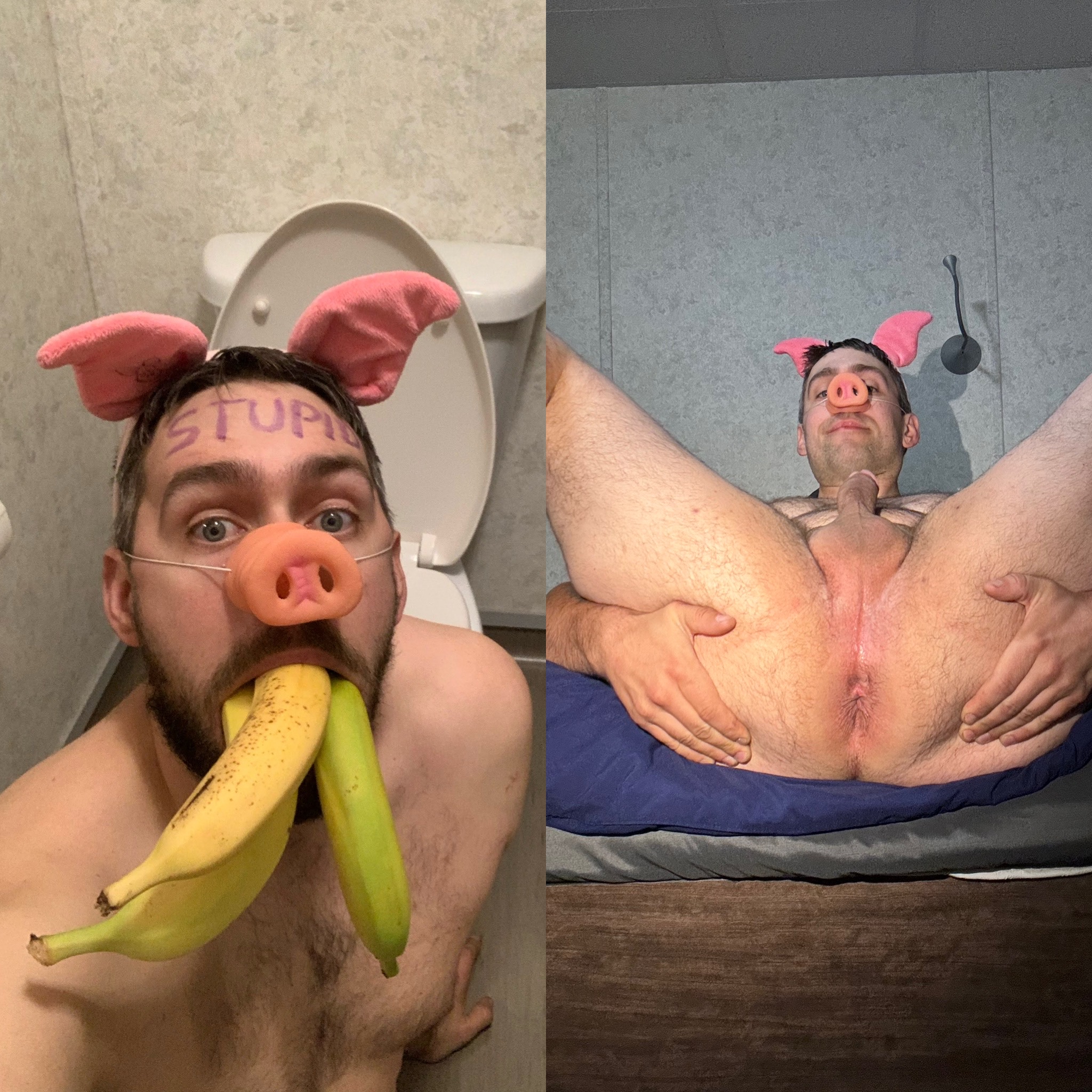 Pig f*ggot seeking bully