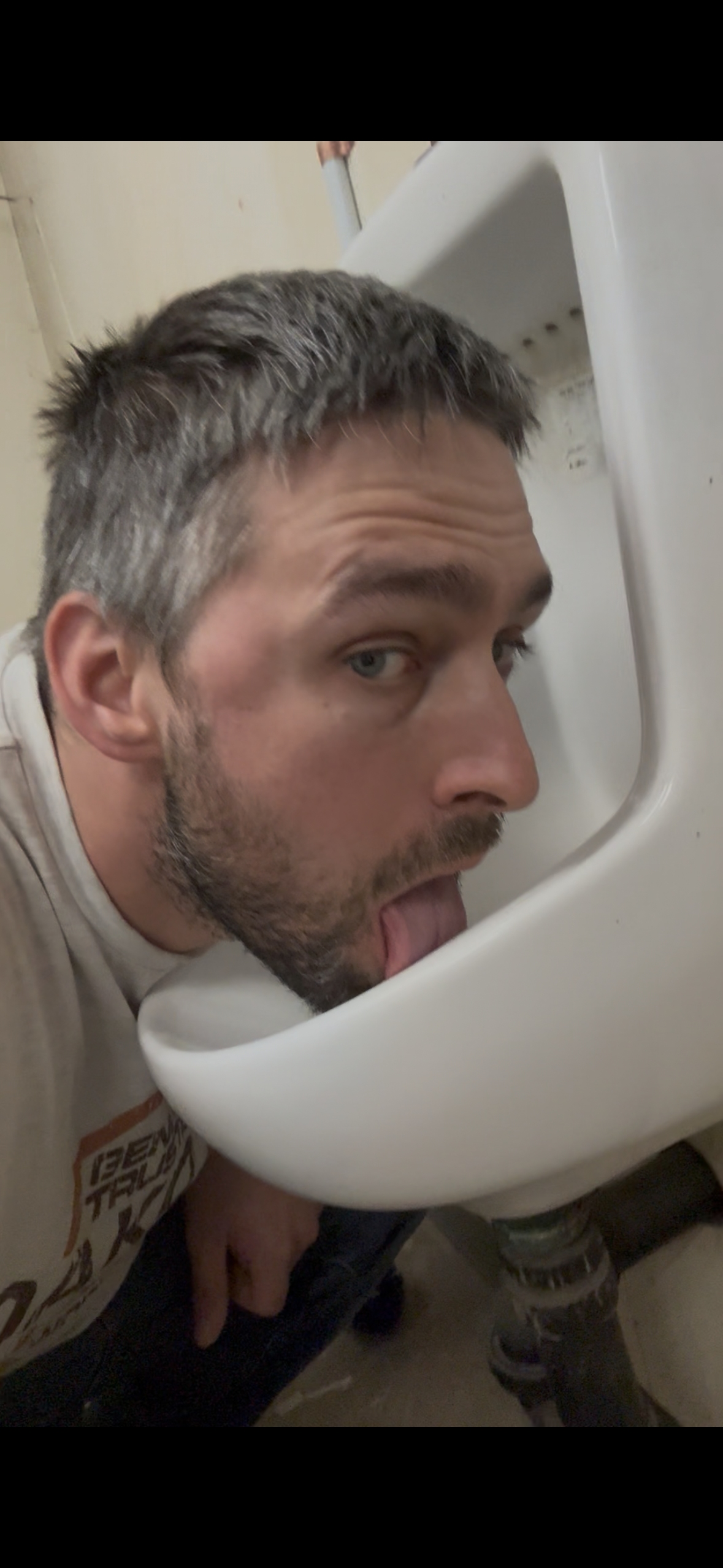 Pig seeking bully to entertain