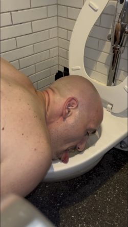 Wheelspin toilet sucking loser Bobbi