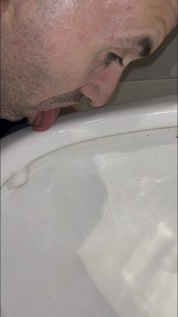 Walmart toilet wheelspin