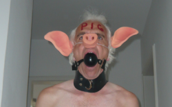 joerg sklave – a pig: slave joerg