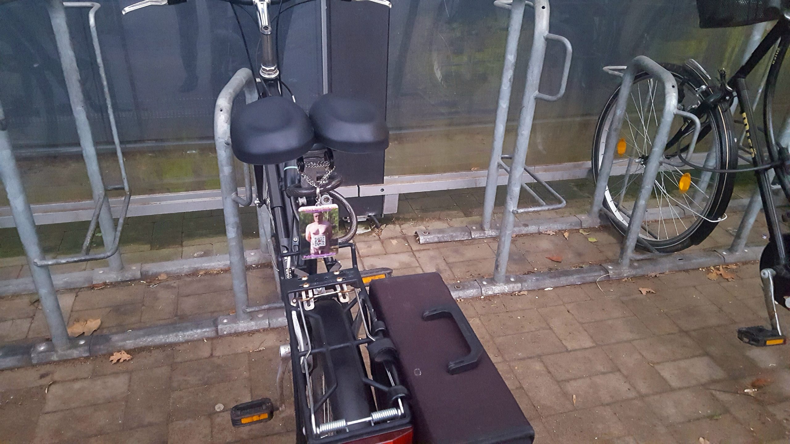 The public municipal wh*re