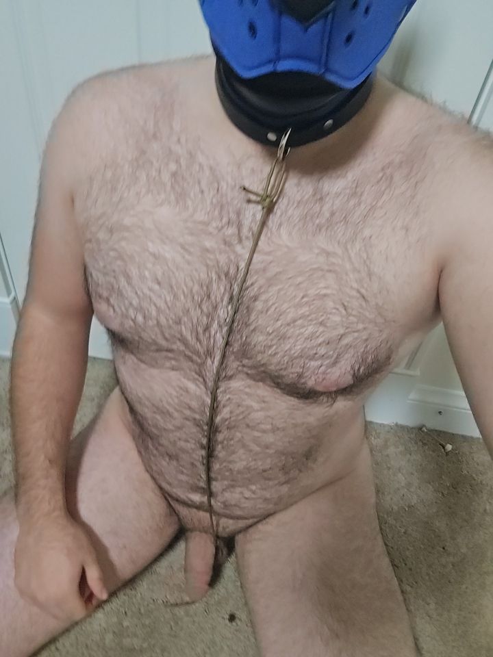 ~ Arthur pup  – Just a dog.