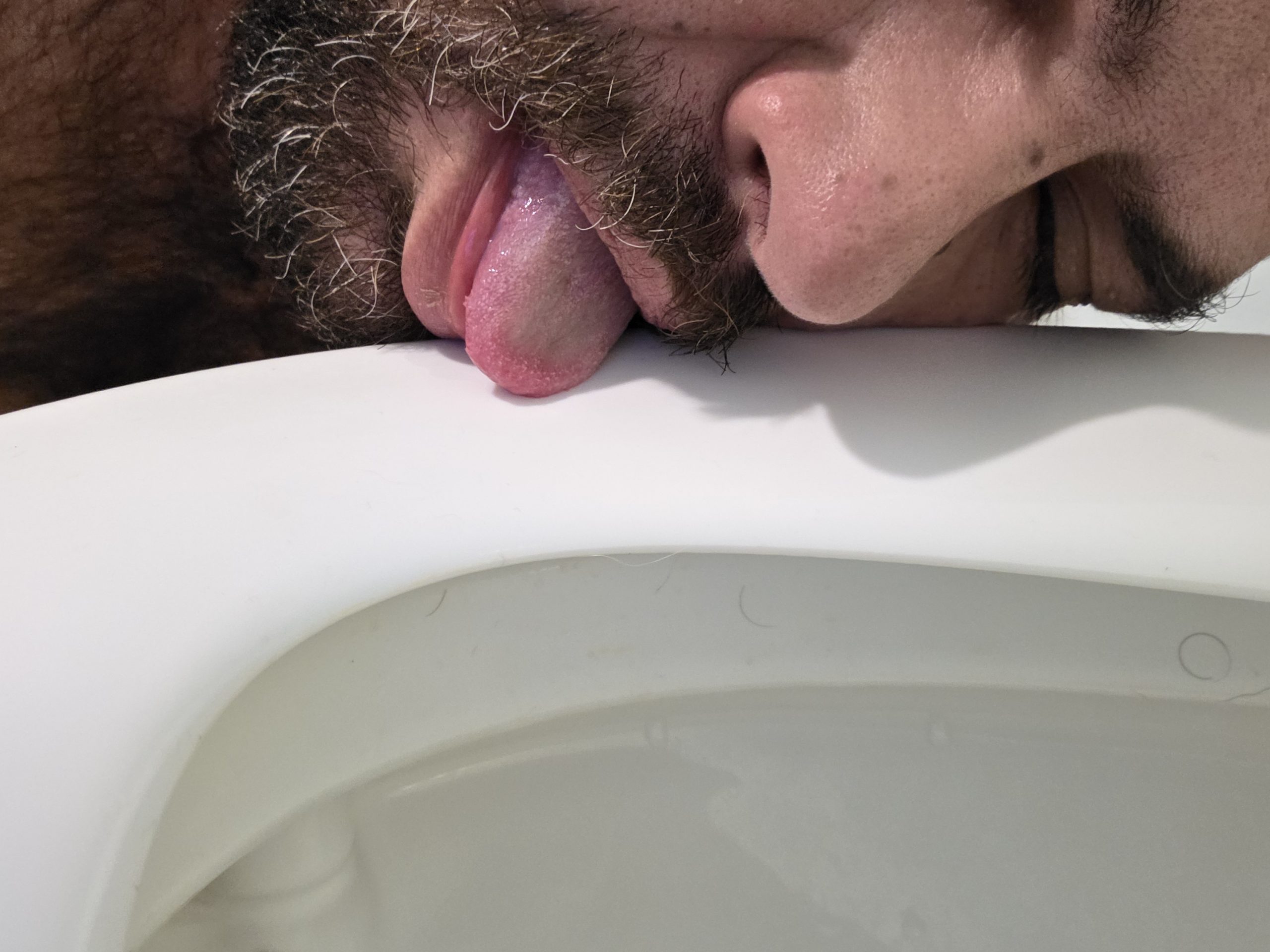 Toilet licking bitch