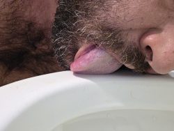 Toilet licking bitch