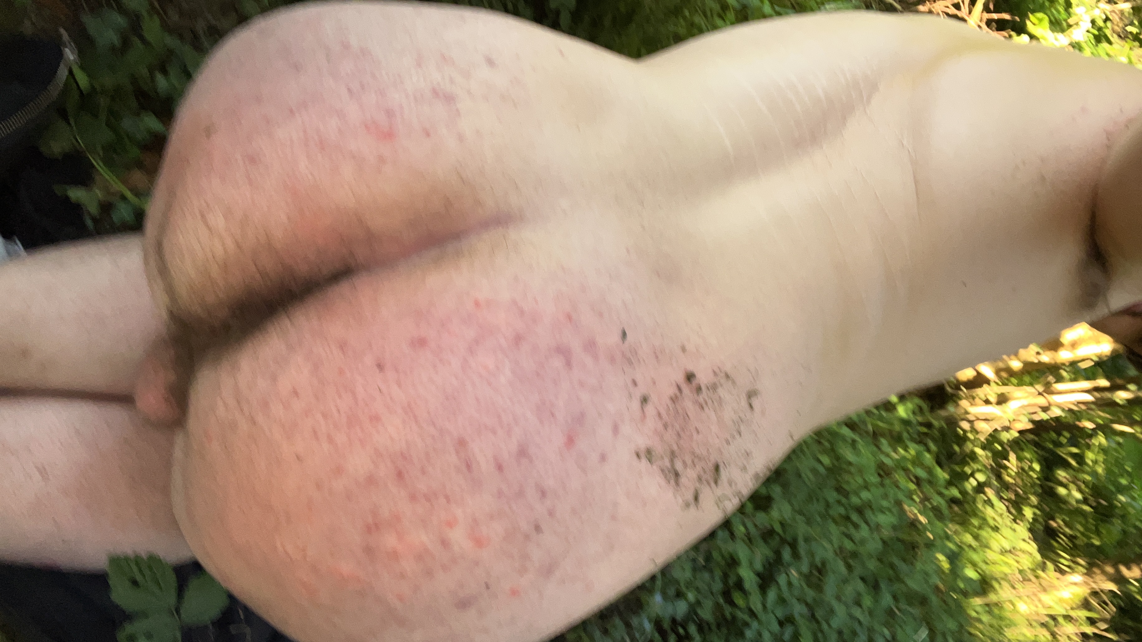 Snap: Noah_n1803, I will leak ID if I get 50 comments