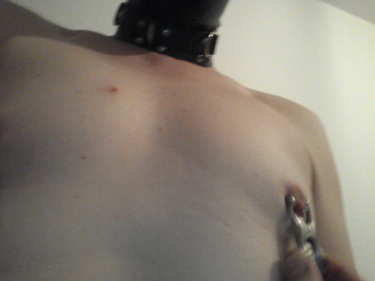 ~ perverted slave-sl*t get horny as fuck while being exposed and made websl*t