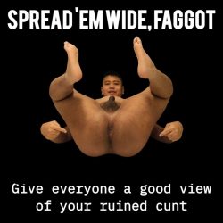 elboy134 – Asian Pig – Meme