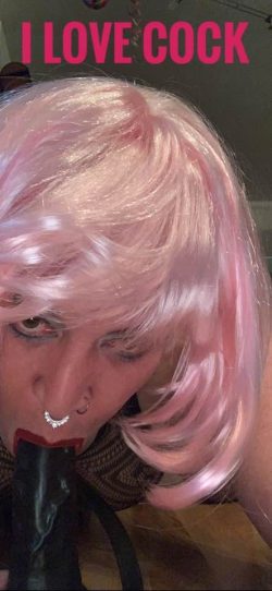 Kik WienerSisssinutte