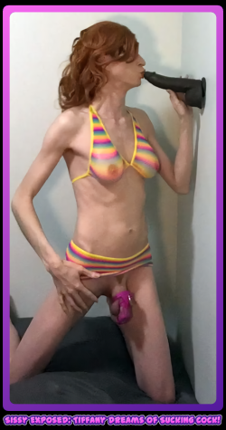 Sissy Secret Exposed