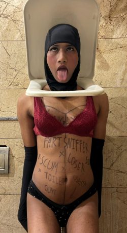 ~ toilet at your service