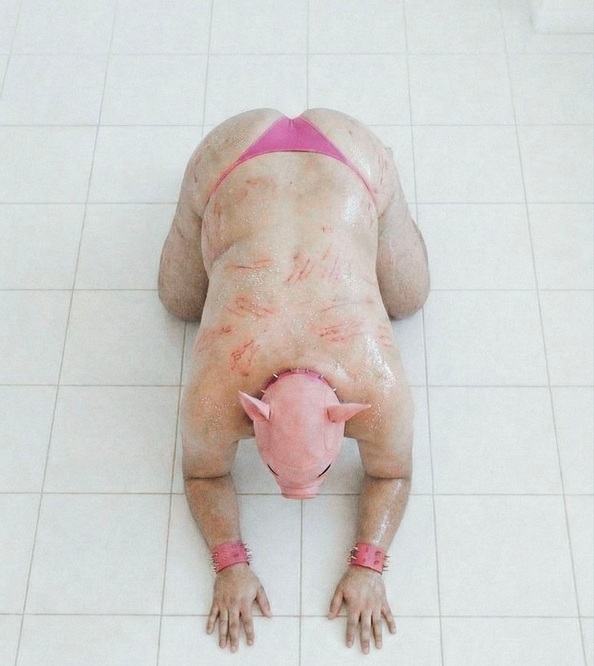 Pig got its punishment