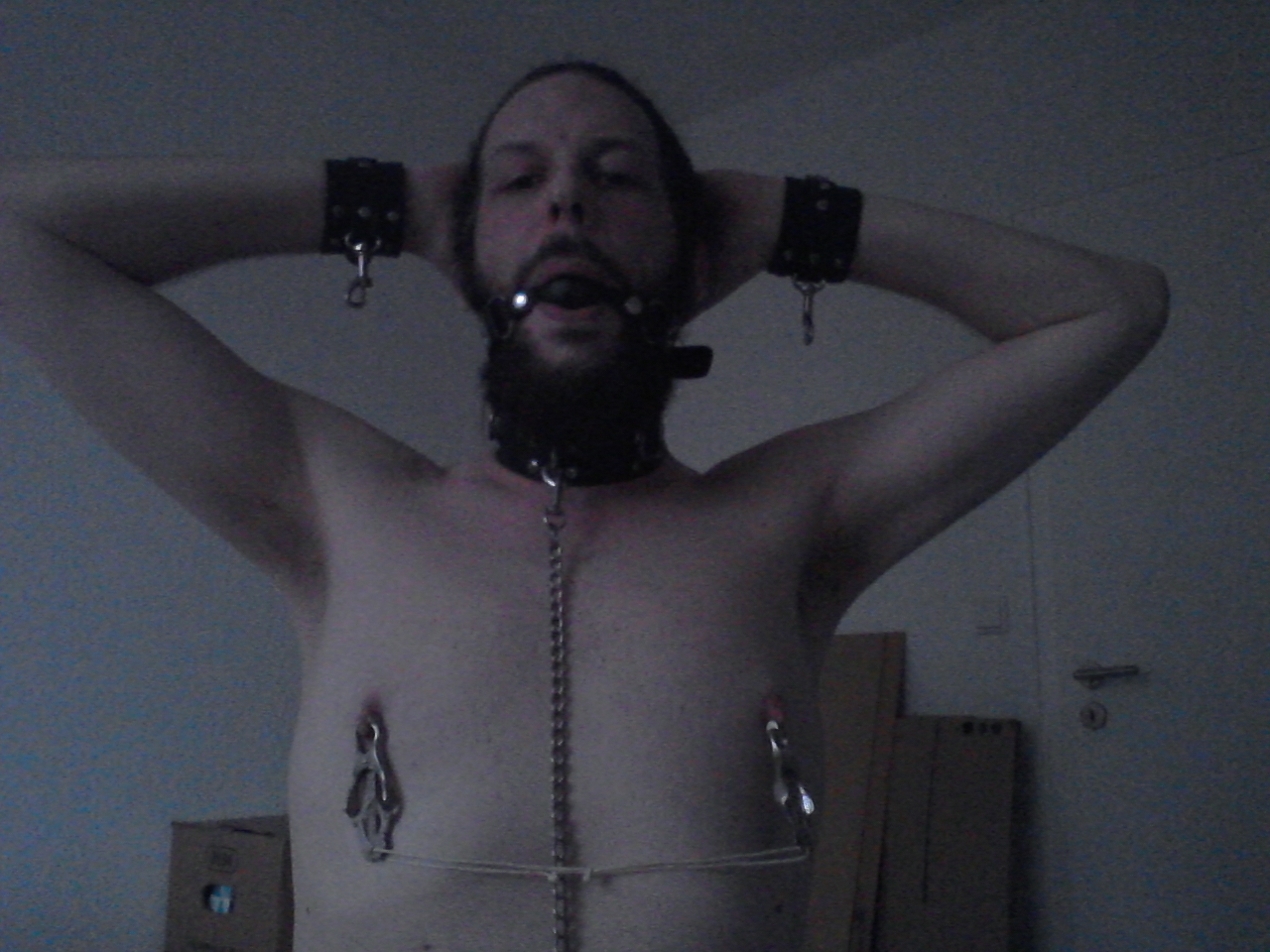 ~ slave-sl*t Stephan´s face has to be exposed now- keep online and be abusive