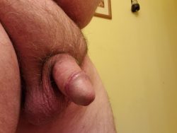 My F*ggot Cock