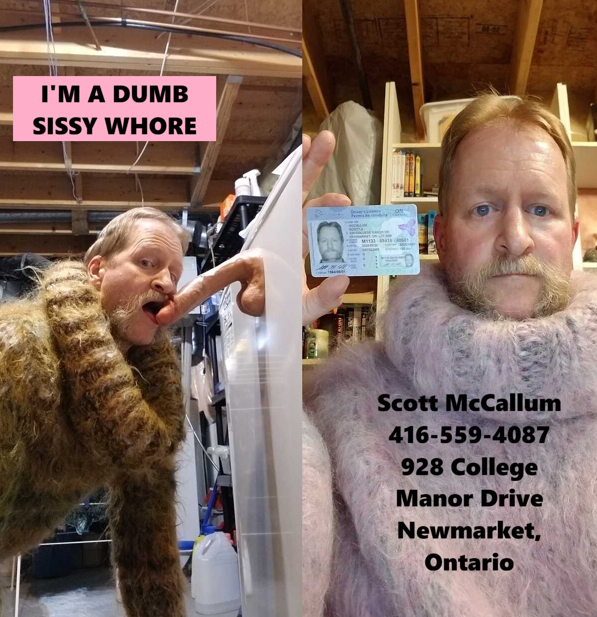 scott mccallum megger