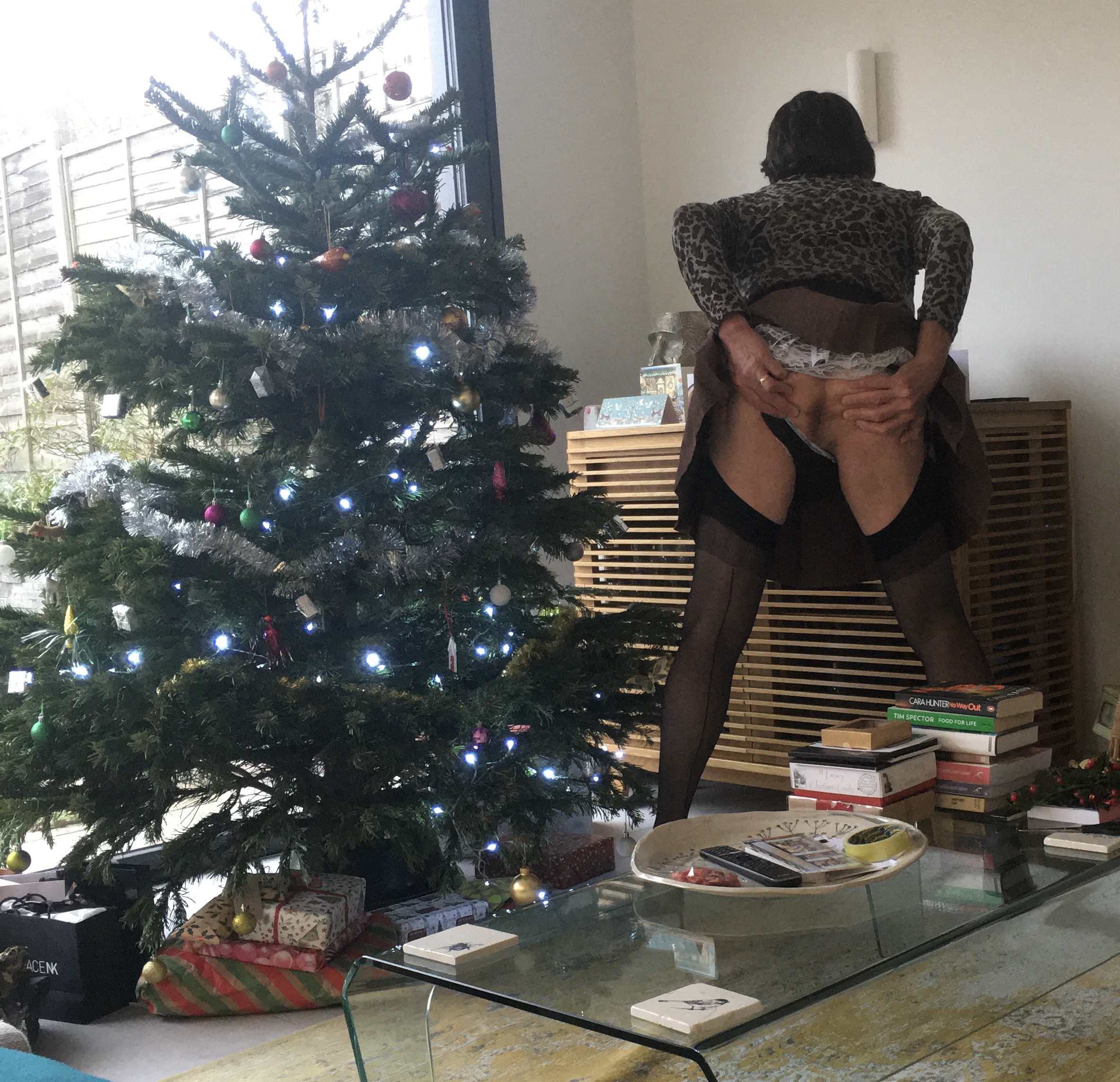 Christmas Tree Tranny