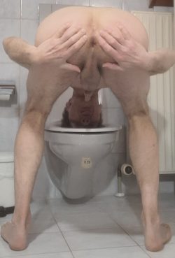 f*gwalt – head in toilet