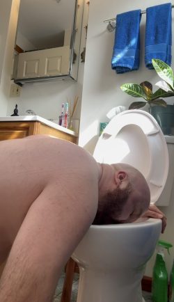 Toilet licking f*ggot James