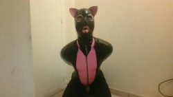 Pusyssy need some humiliation