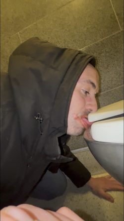 Human toilet cleaner