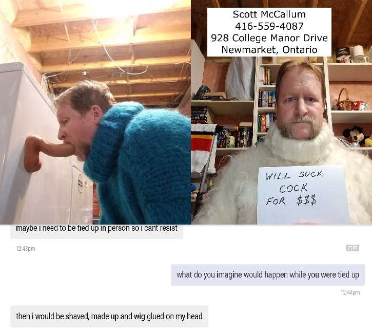 scott mccallum megger