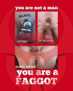 Allinone_dus  – Useful public wh*re and dirty fggt Allinone