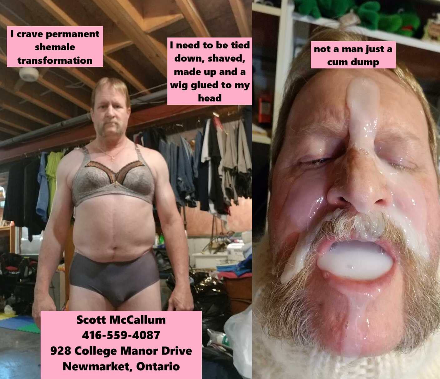 scott mccallum megger