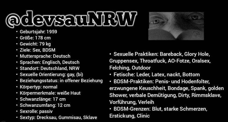 Toilet Pig for your Service