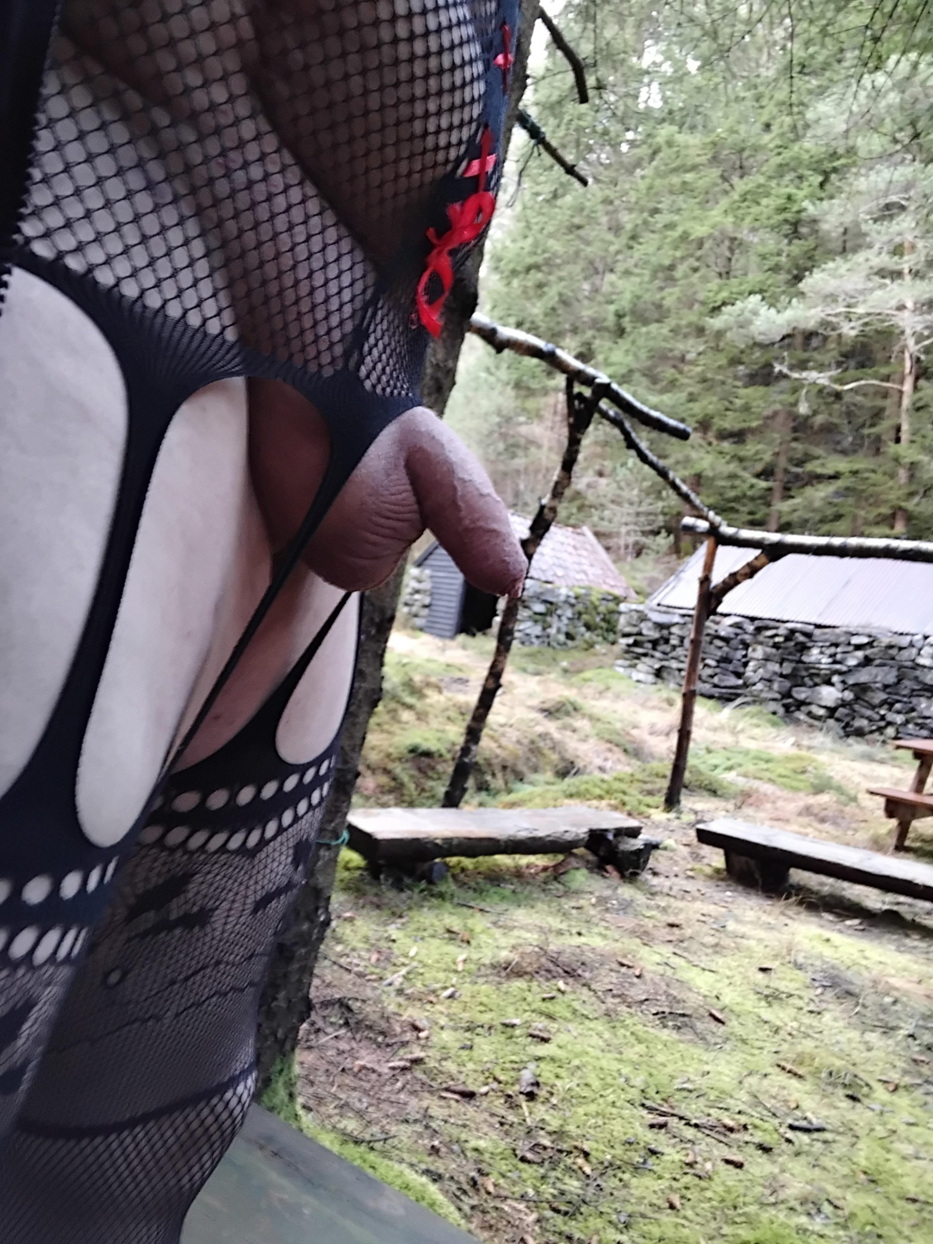 Kevins9500 – Sissy outside in the woods.