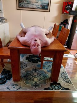 Sabrinaf*g – I’m thirsty