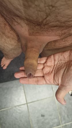 ask me humiliating questions in the comments