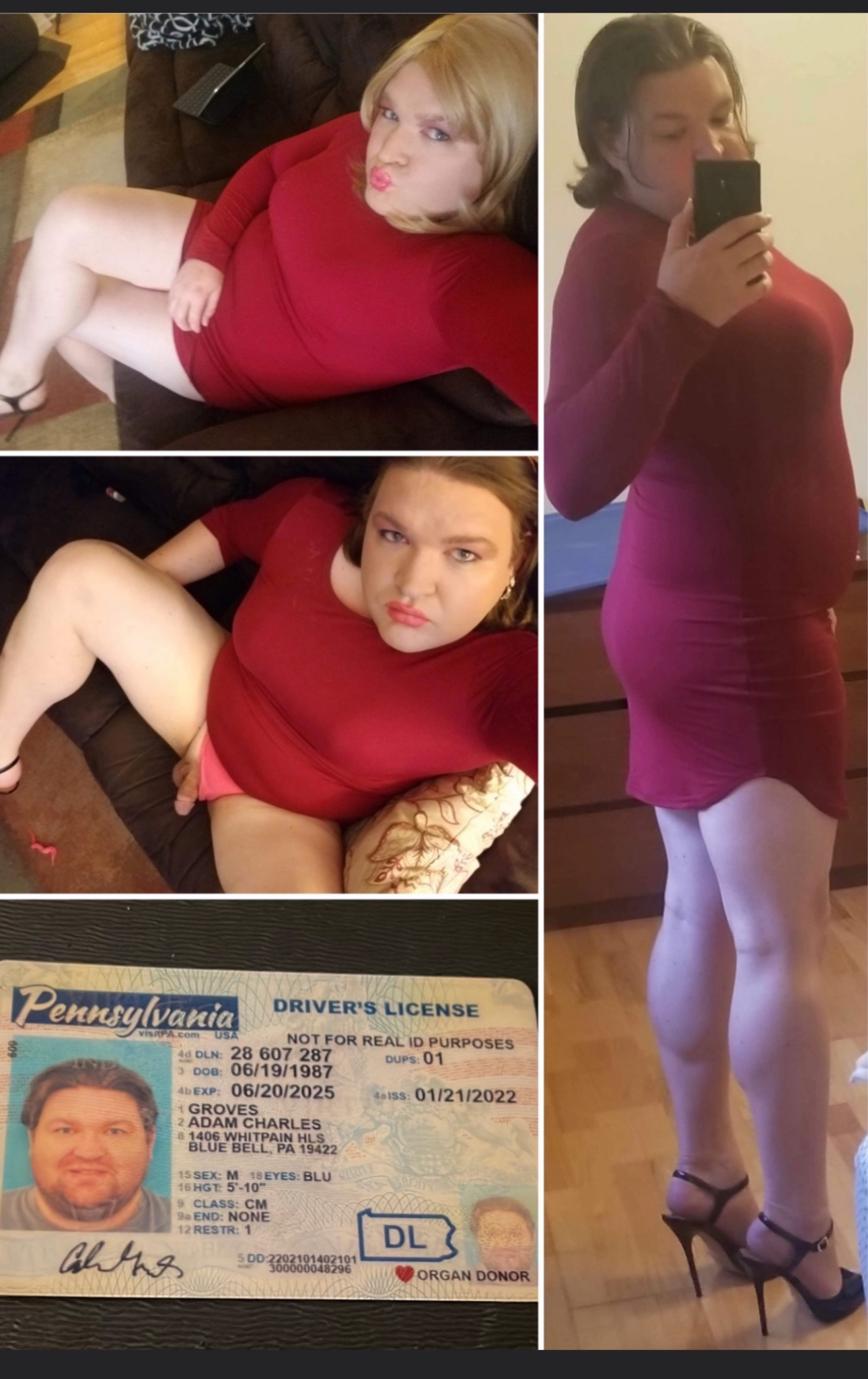 Adam Groves – Ruin Me! Give Me Your Worse!