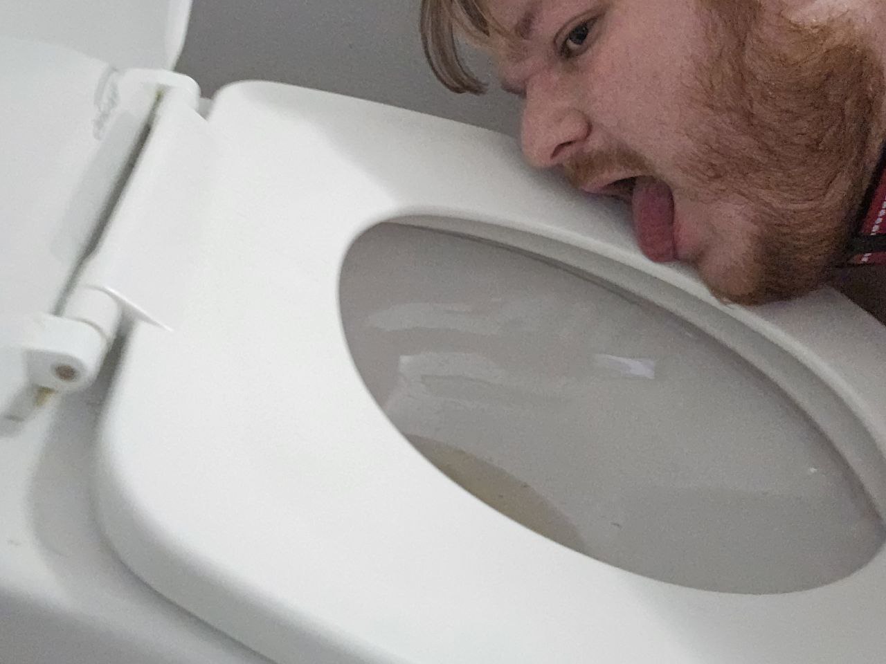 ~ Toilet pup available to play