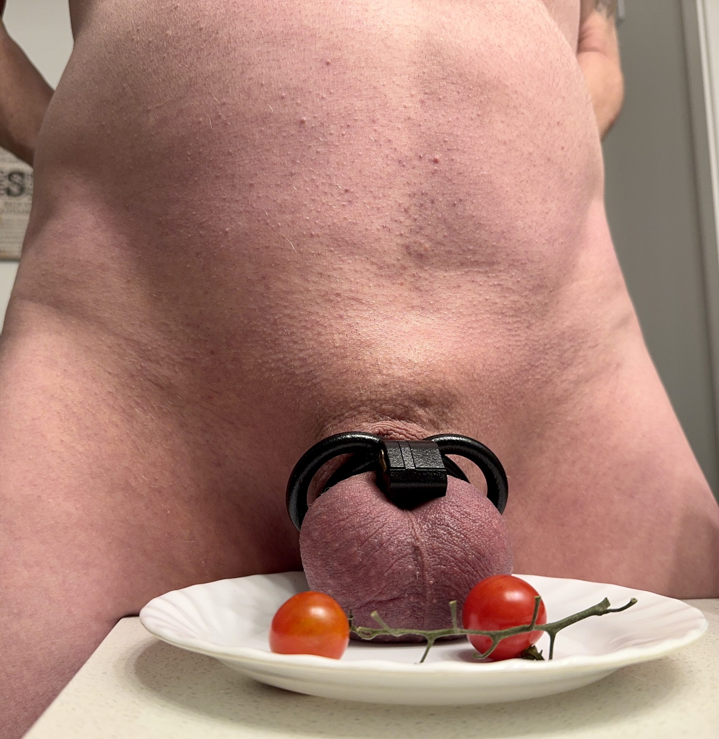 Caged & locked permanently f*g