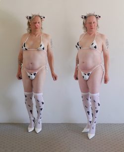 ~ pigface/no pigface