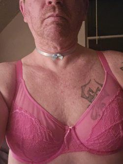 Bully me and call me a sissy f*ggot