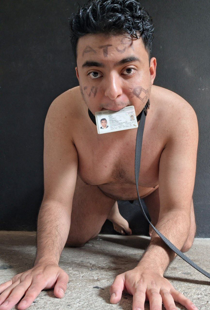 ~ Puta Perra Pendeja Expuesta