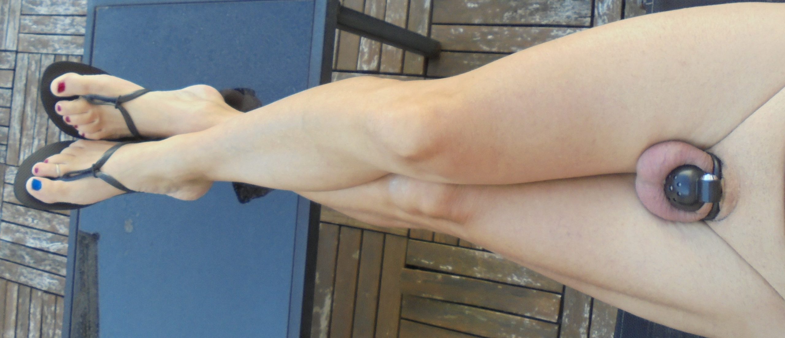 exposed caged f*ggot