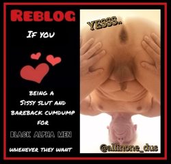 Allinone_dus  – BBC addicted Sissysl*t and bareback Cumdump Allinone