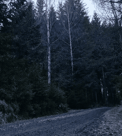 German Sissy sl*t Tony