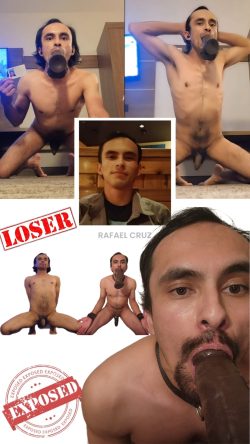 Pussyfree Beta f*g Rafael Cruz Exposed Risk