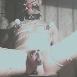 TG : @gipdeggulplana