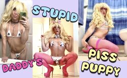DADDY’S Stupid PISS PuppY!