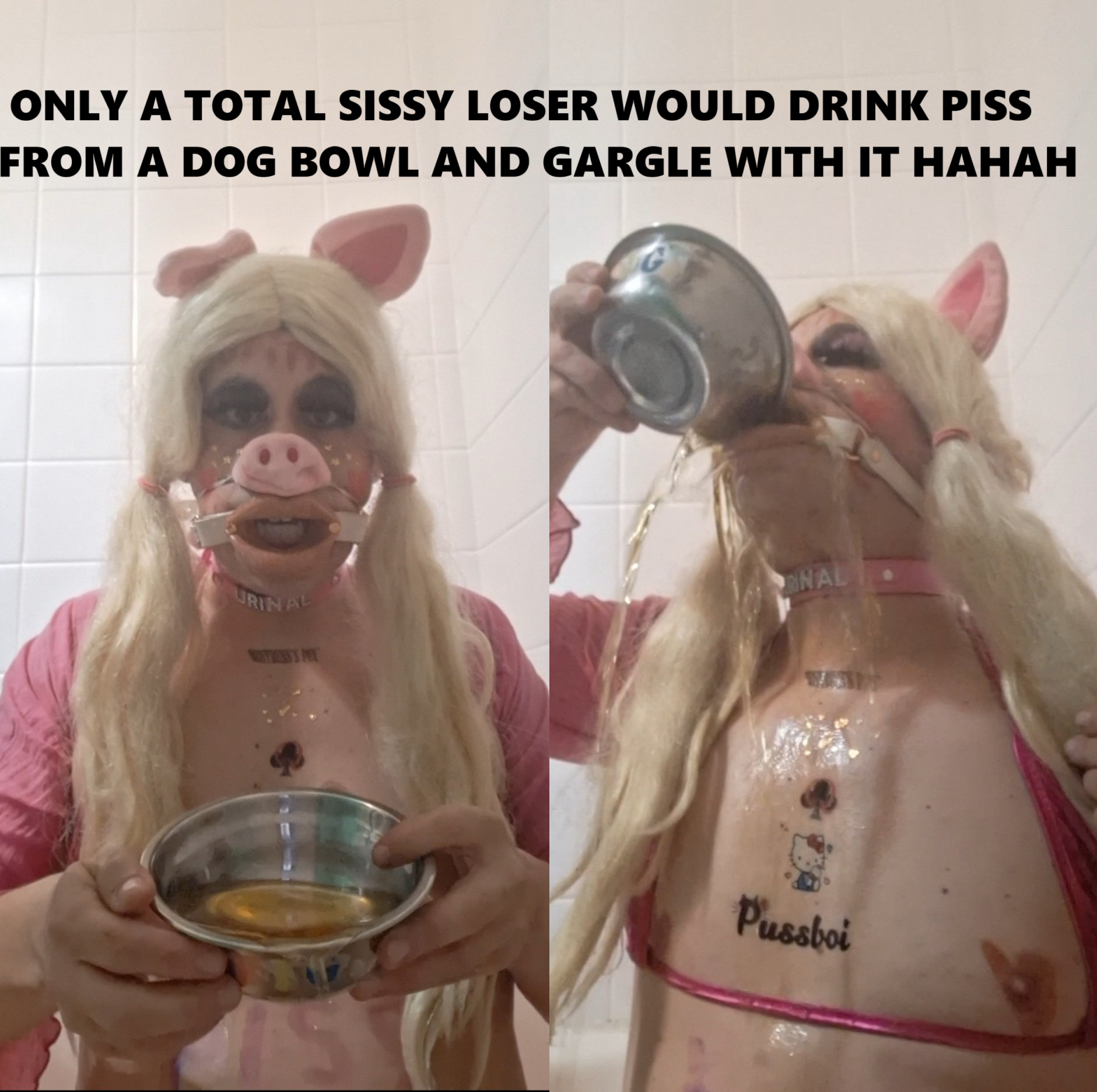 oink oink im a sissy piggy loser!