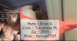 Pweeeease Share Sissy Brian S. from Tusc Alabama zip 35111 aka hornygri1169