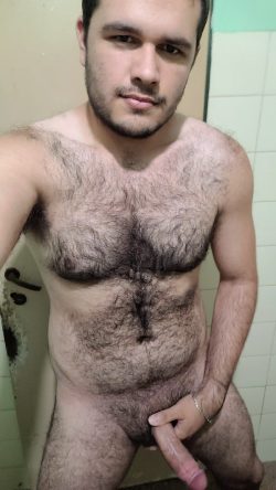bear hairy…