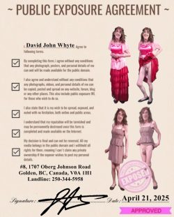 Sissy David Whyte – Sissy Sex Toy – David Whyte