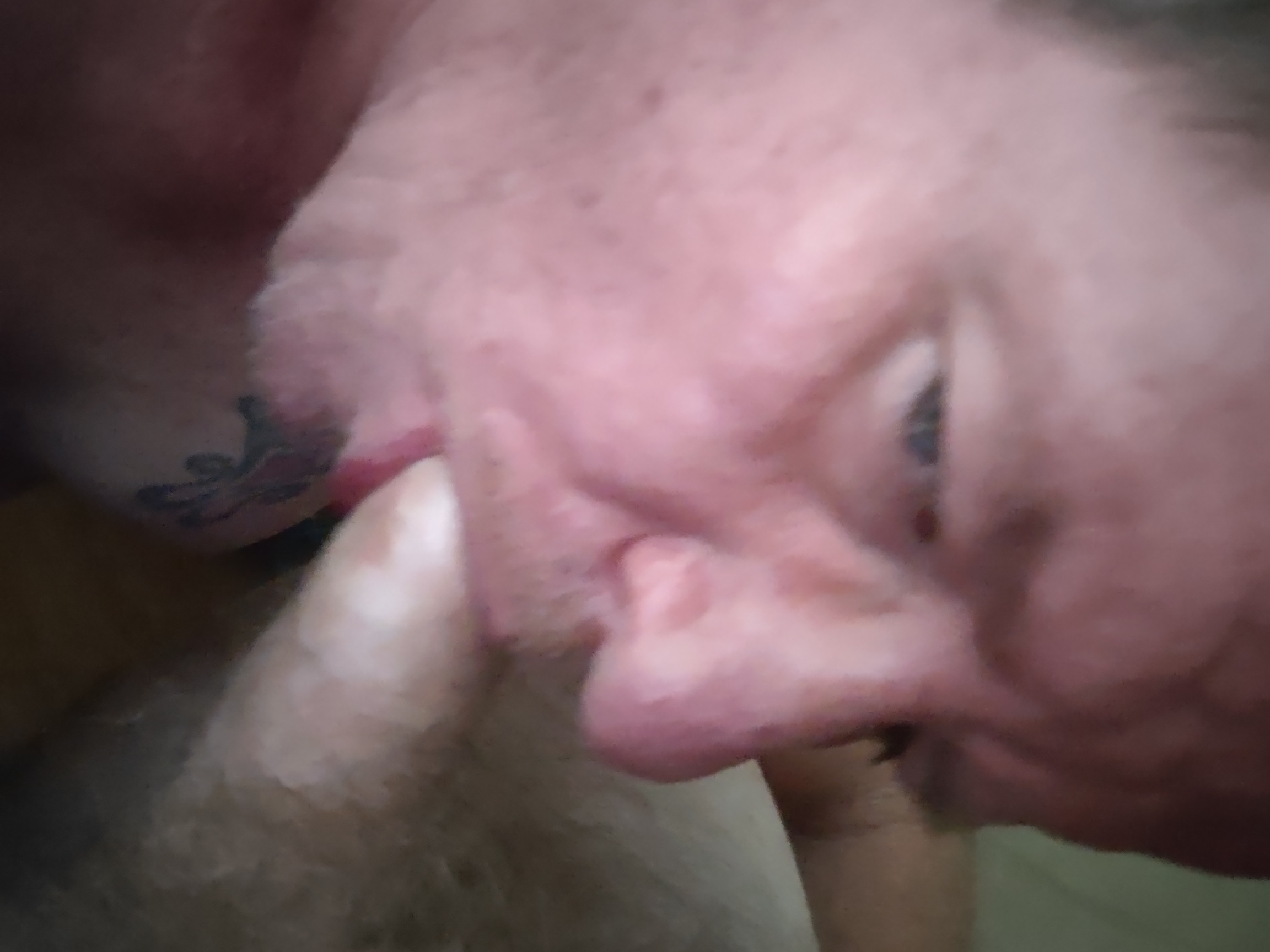 This sissy needs cocks